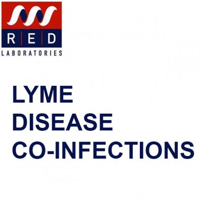 LYME DISEASE CO-INFECTIONS