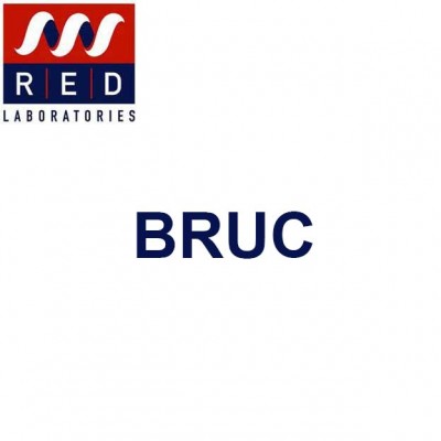 PCR Brucella