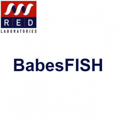 Babesia spp FISH test (BabesFISH)