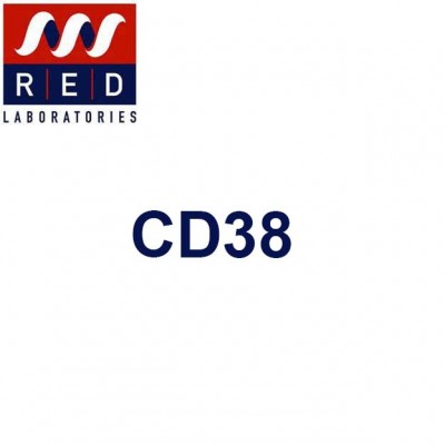 CD38 dans le sérum