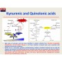 Quinolinic acid ELISA test in serum (QUINO)