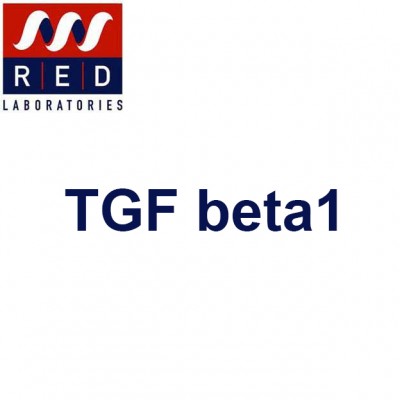 Activated TGF beta1 serum level