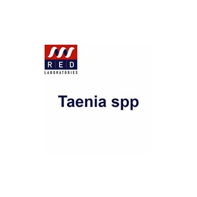 Taenia spp PCR (Taenia spp)