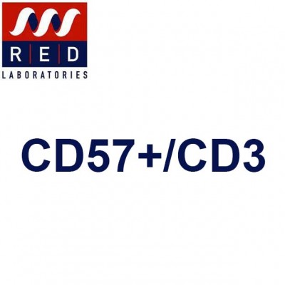 Comptage CD57